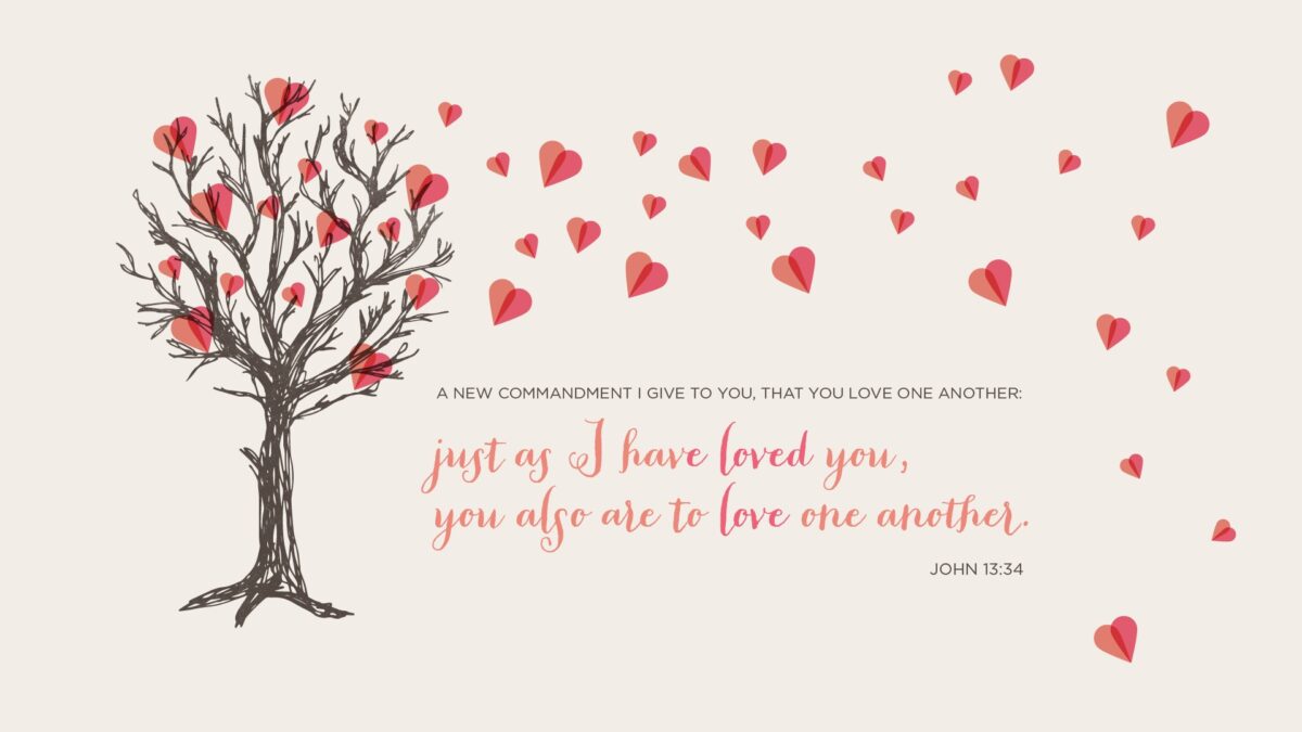 John 13:34 A new commandment I give to you, that you love one another: just as I have loved you, you also are to love one another.
