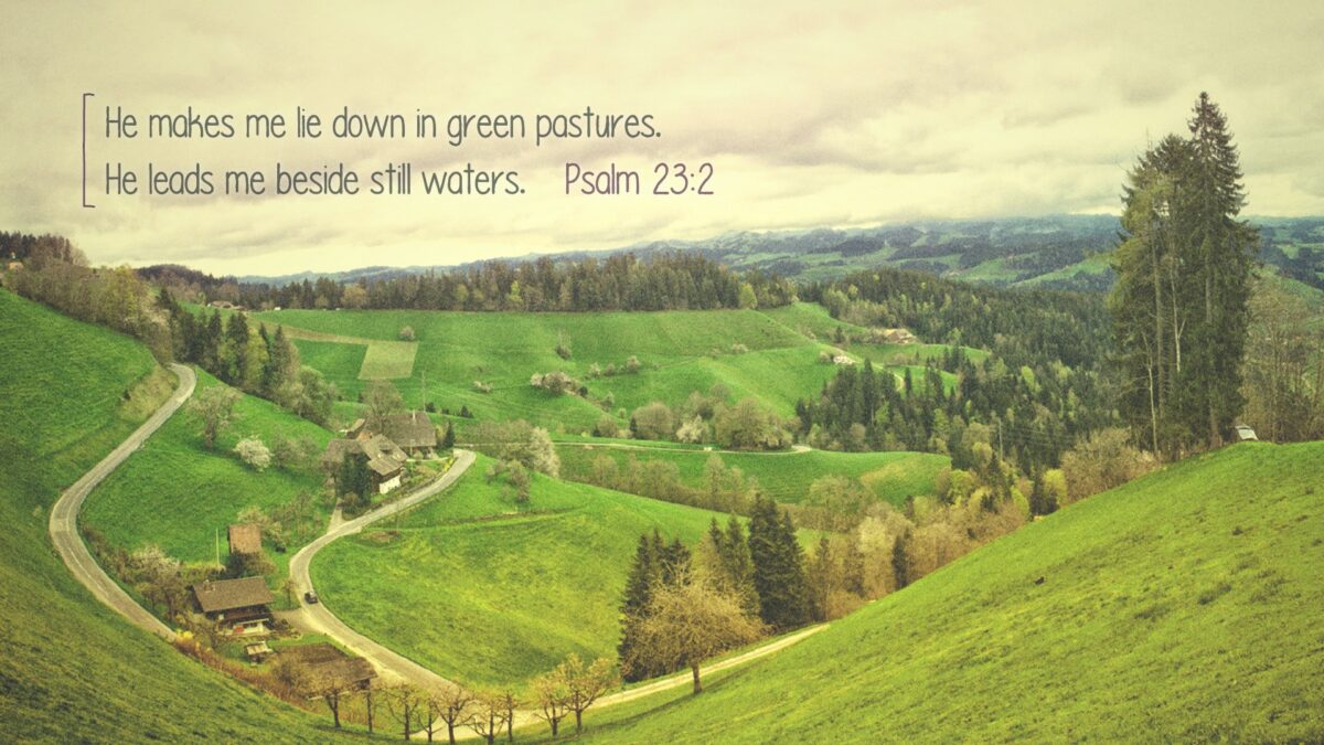 Psalm 23:2 He makes me lie down in green pastures. He leads me beside still waters.