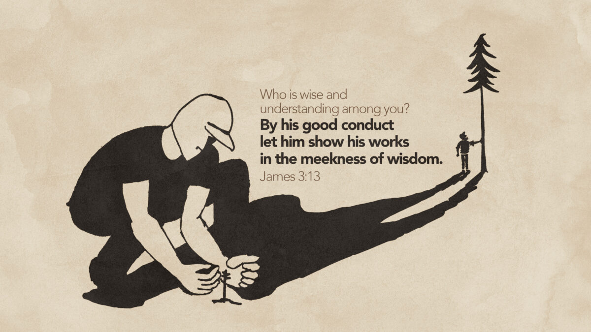 James 3:13 Who is wise and understanding among you? By his good conduct let him show his works in the meekness of wisdom.